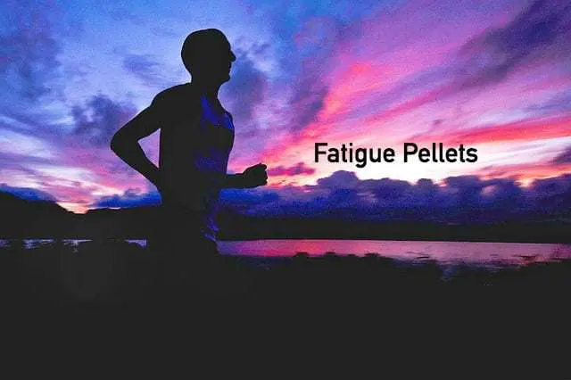 fatigue pellets orlando