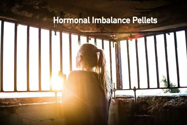 hormonal imbalance pellets orlando