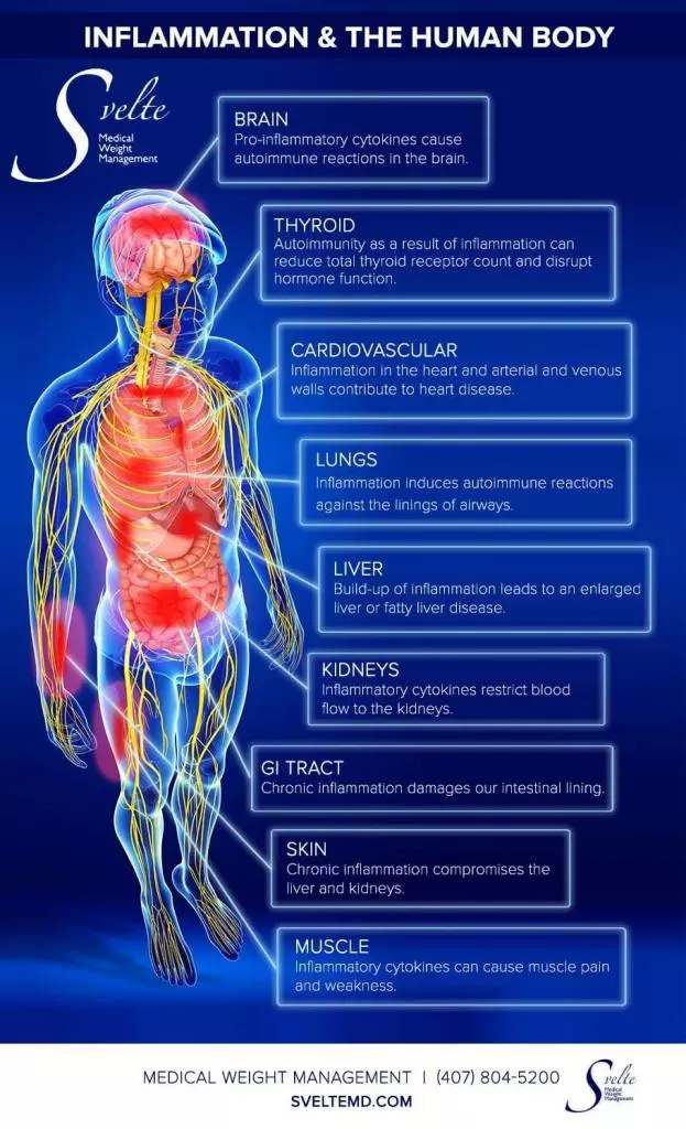 Inflammation & The Human Body