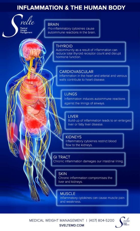 inflammation-the-human-body