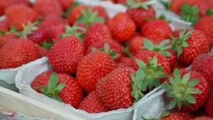 strawberries-823782_1920