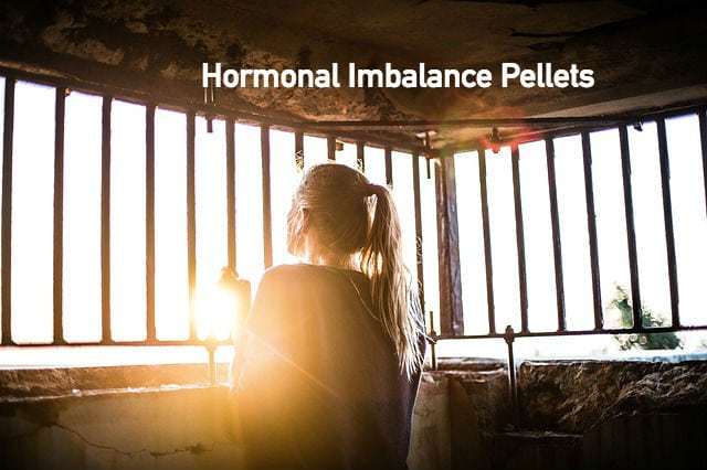 hormonal imbalance pellets orlando