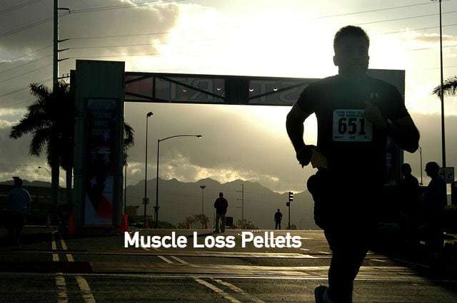 muscle loss pellets orlando